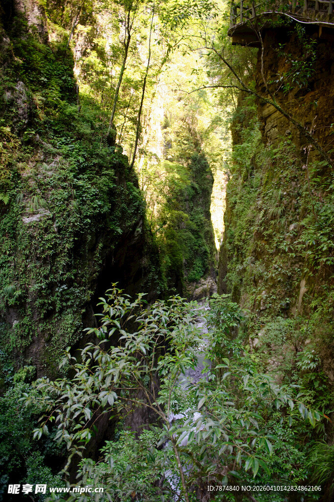 恩施山间幽径绿意盎然