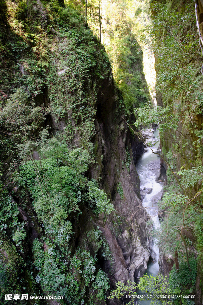恩施山间溪流穿林而过