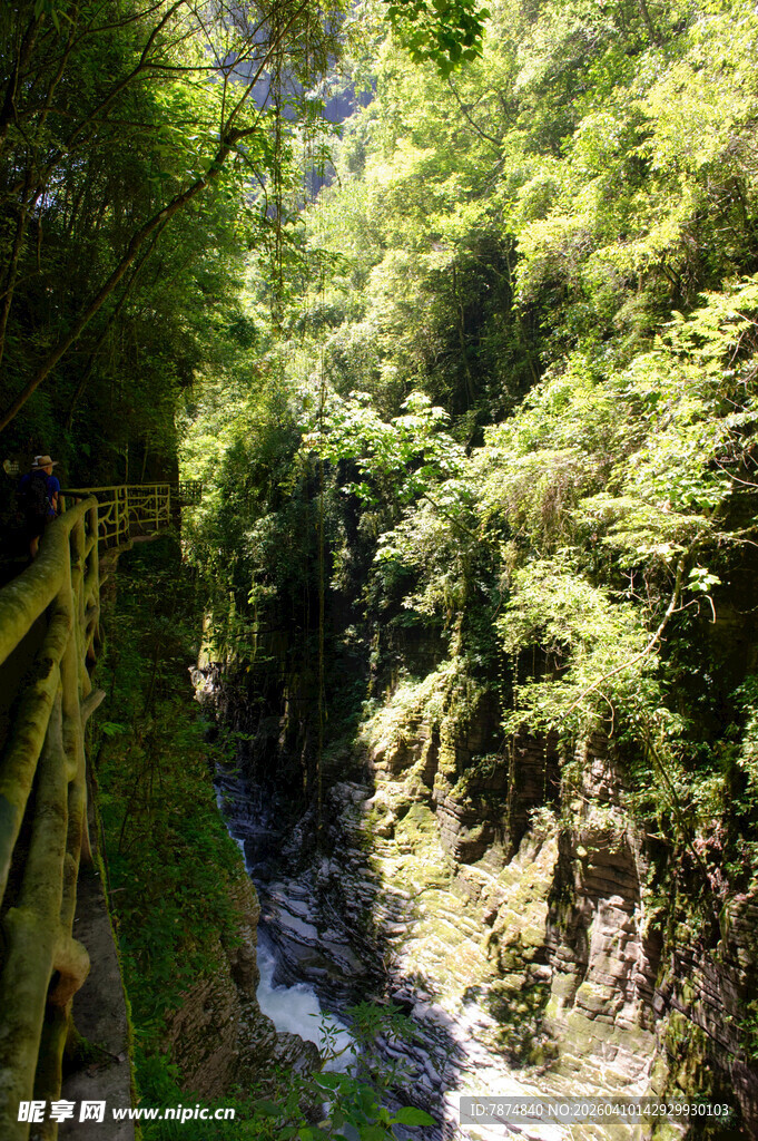 恩施山间溪流旁的葱郁绿意