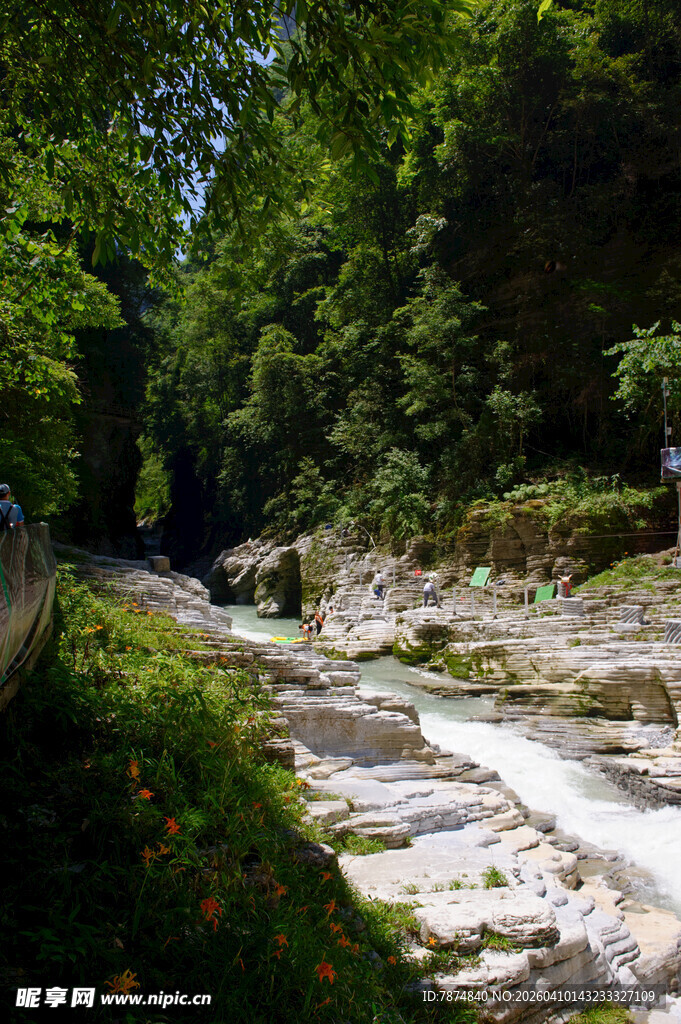 恩施山间溪流旁的绿意景致