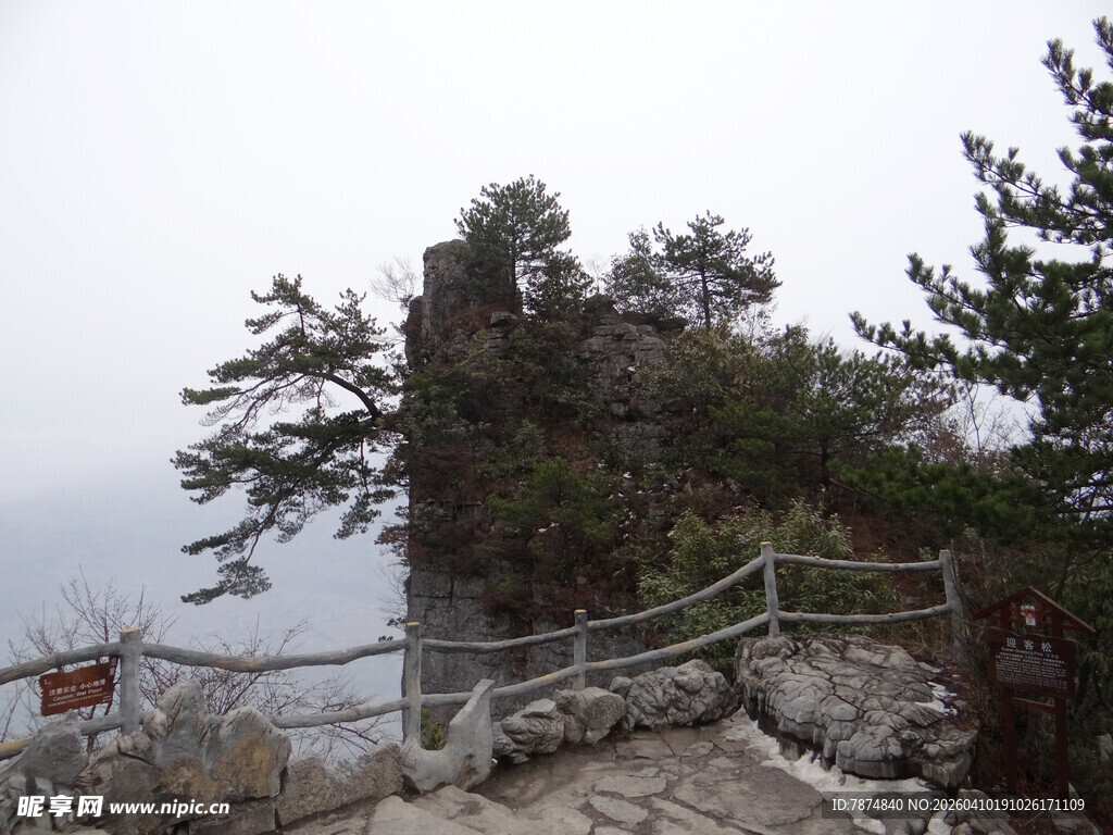 恩施山间栈道旁的葱郁树木