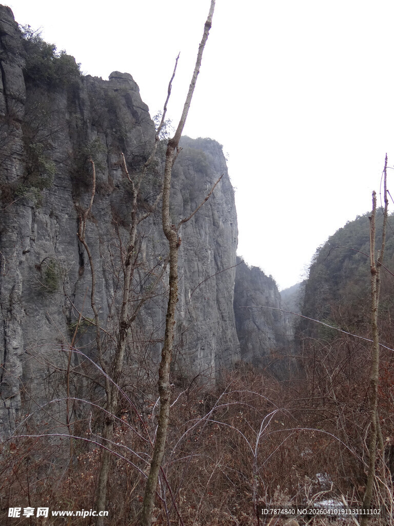 恩施险峻山壁与枯木景观