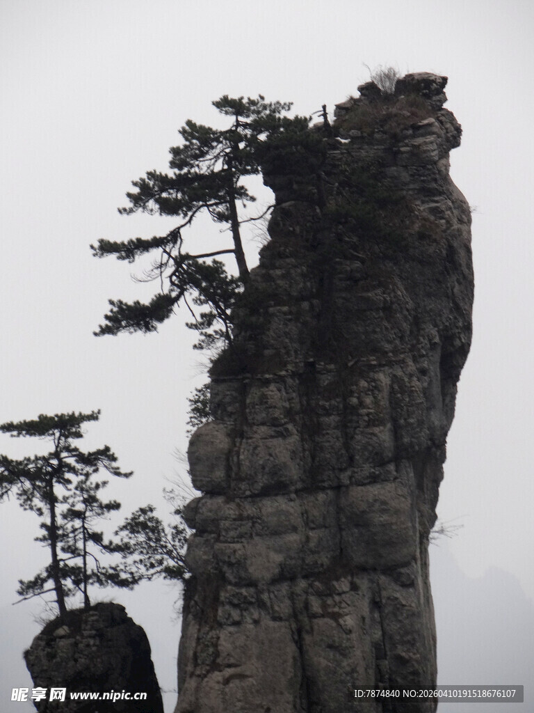 恩施奇峰孤松景观