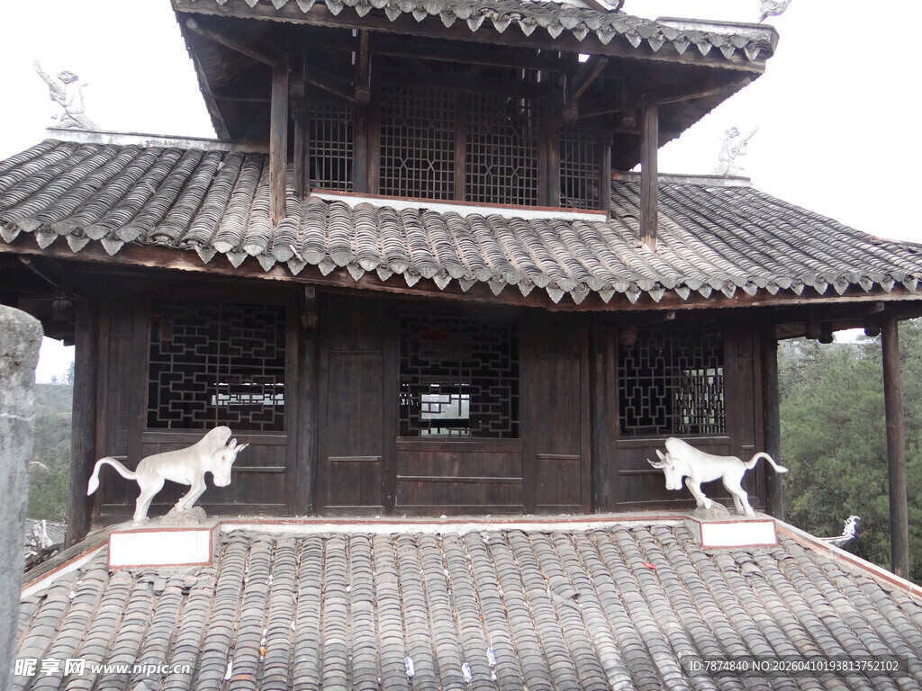 恩施古宅屋顶上的两只猫咪