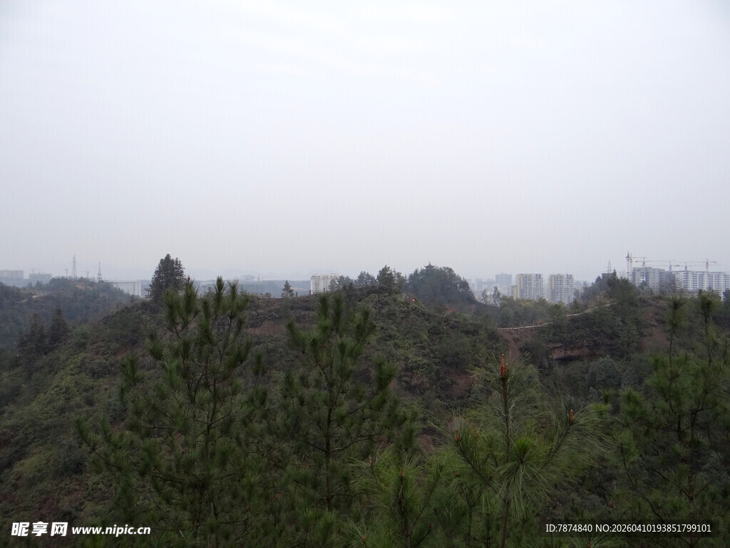 恩施雾中葱郁山林景致