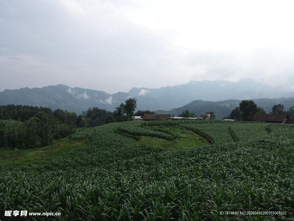 恩施乡村田野风光