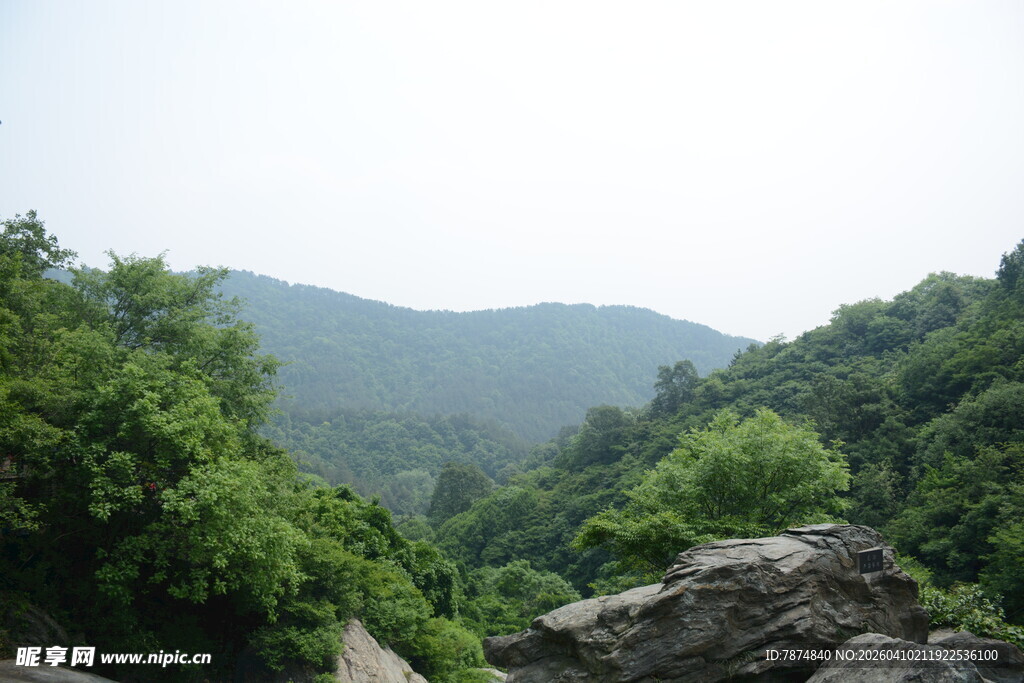 山林间的绿意景致