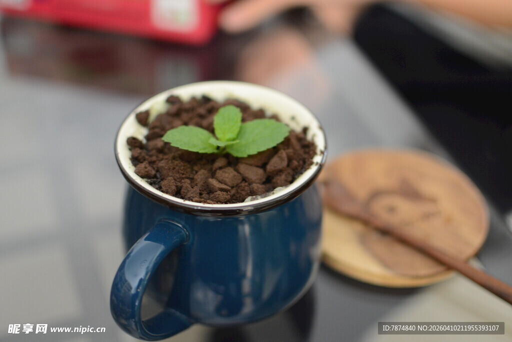 蓝色杯中咖啡渣与绿植嫩芽
