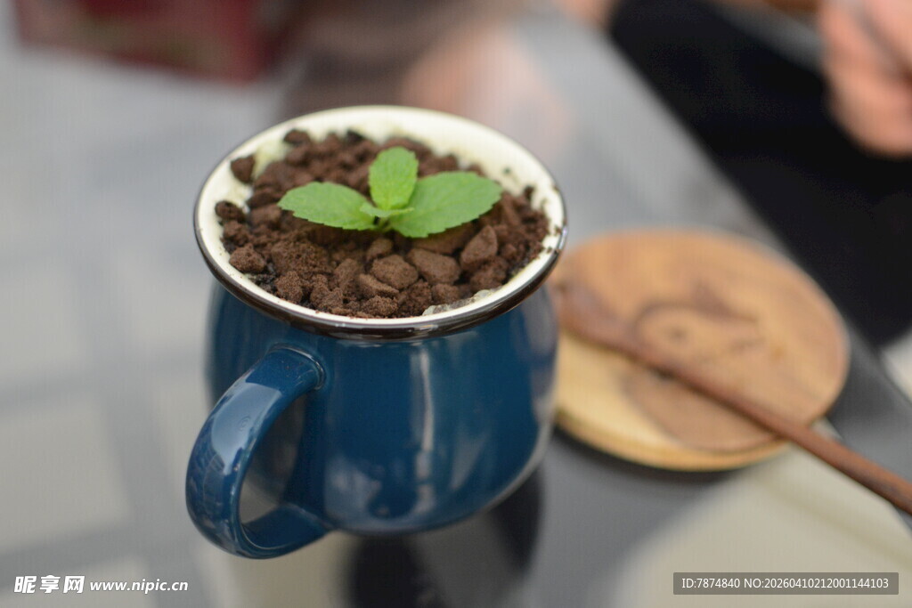 蓝色杯中的嫩绿幼苗