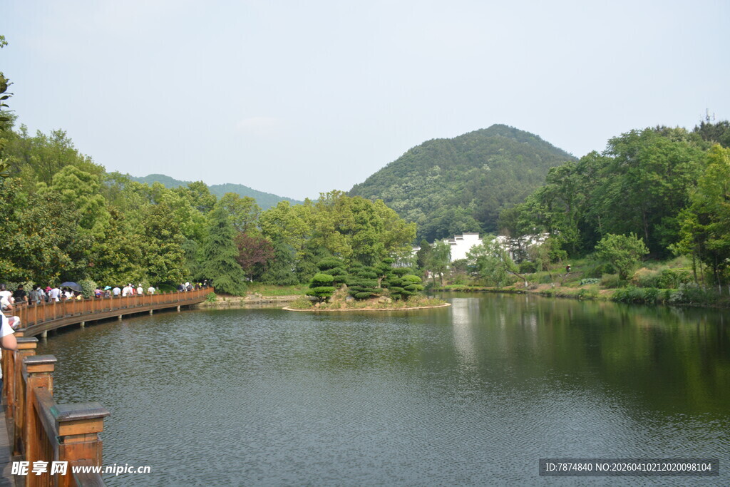 湖畔木桥旁的秀丽风光