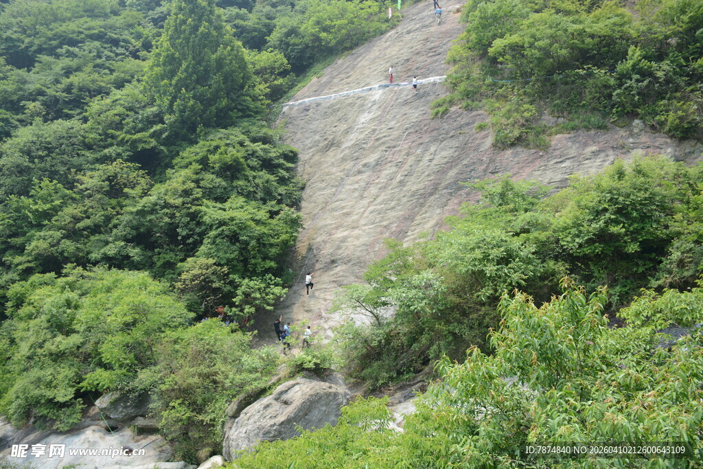山间陡坡处的葱郁植被
