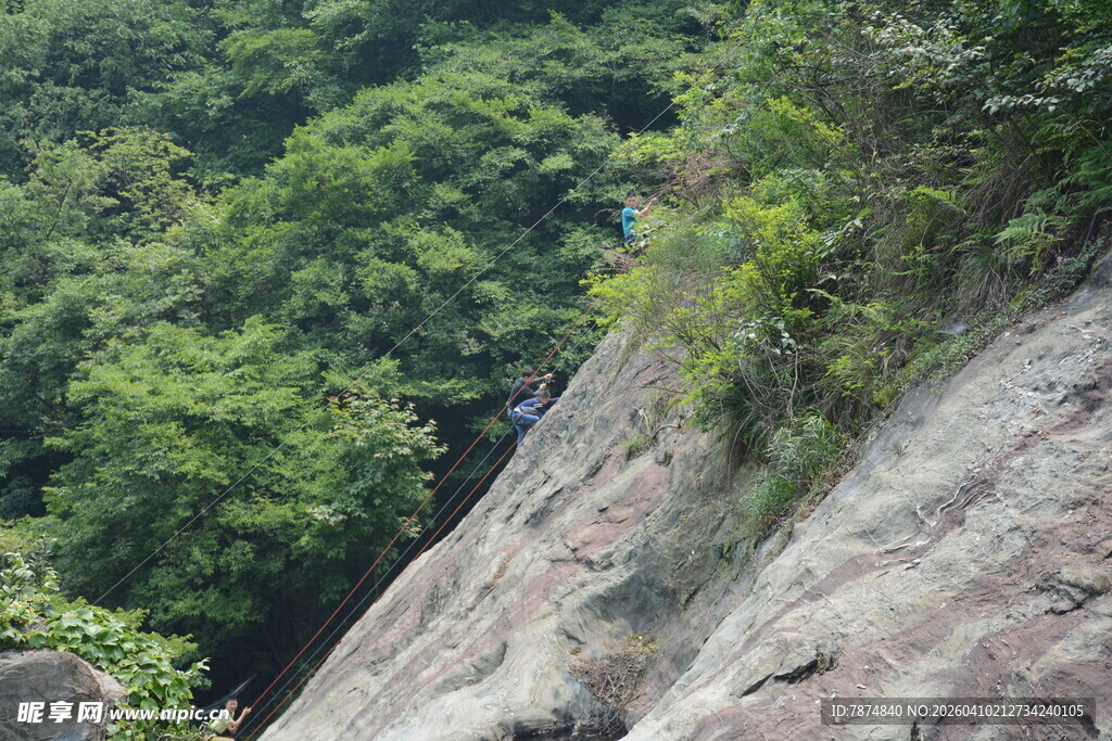 陡峭岩壁上的绿植景观