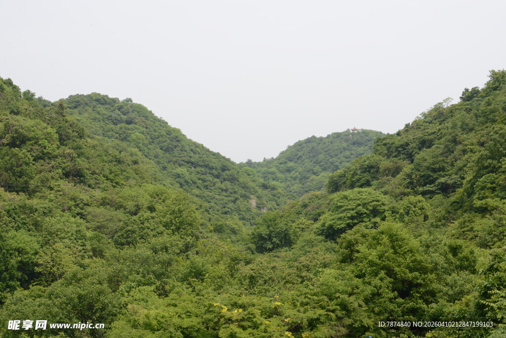 翠绿山峦 自然绿意美景