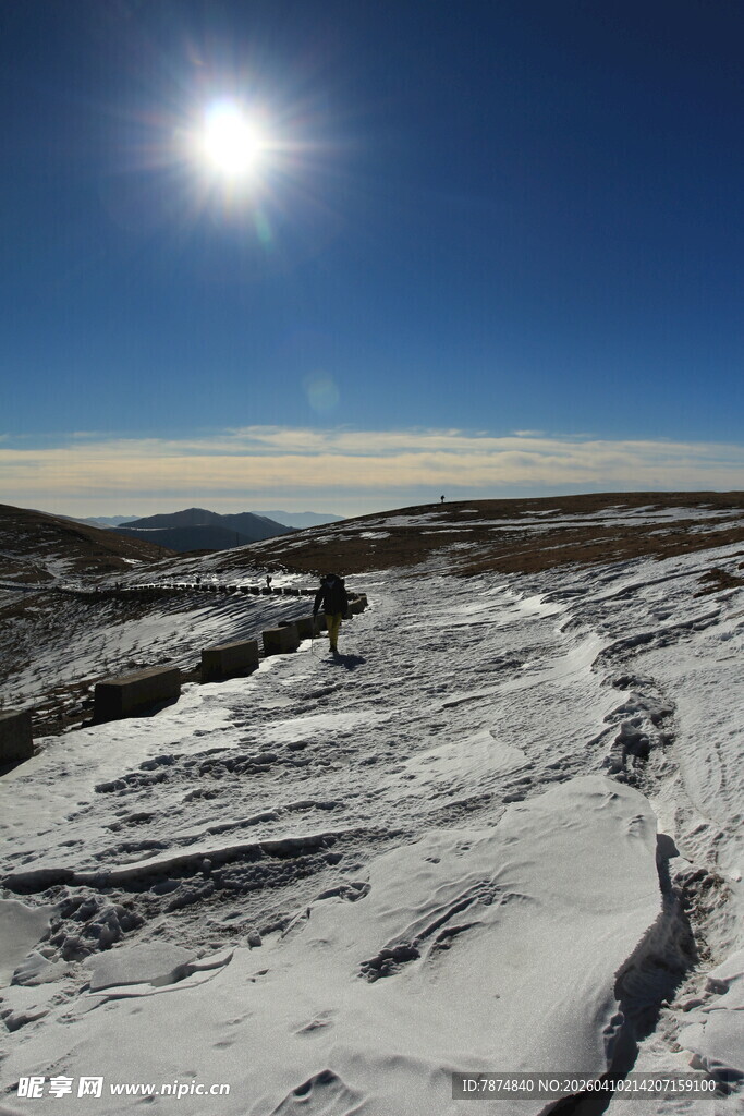 雪地上的耀眼阳光