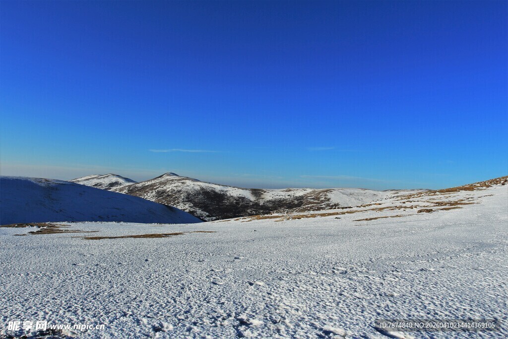 冬日雪野风光
