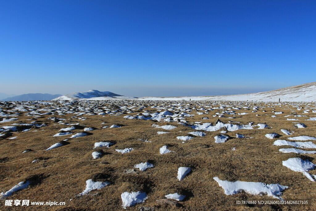 雪地荒原景观