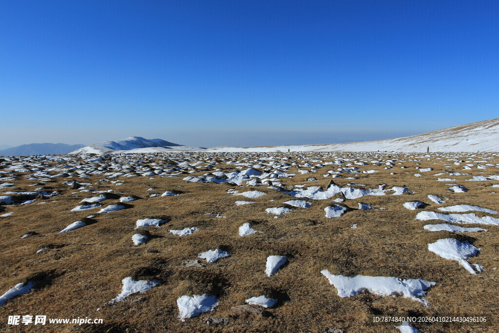 雪覆荒原景观