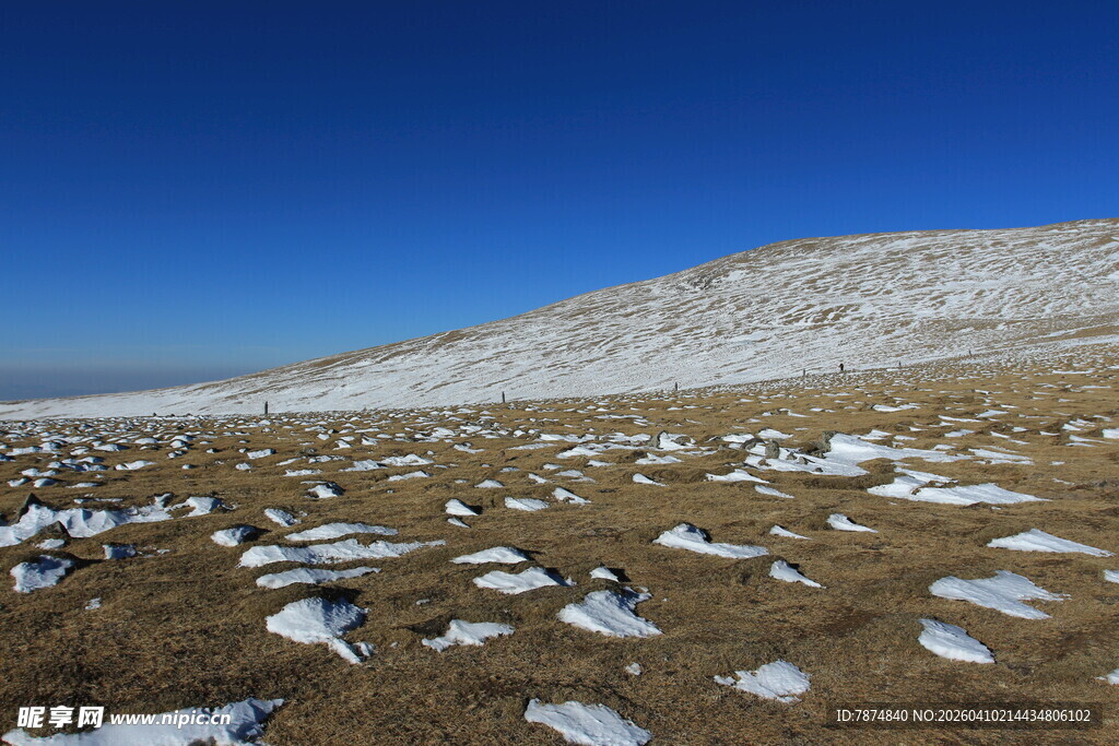 雪覆荒原的开阔景致