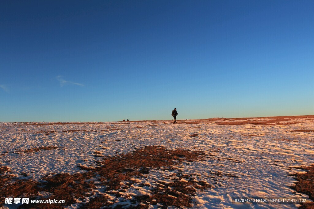 雪地旷野中的孤独身影