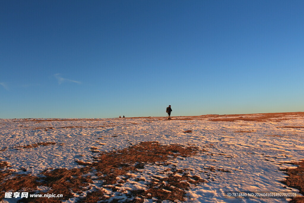 雪地中的孤独行者