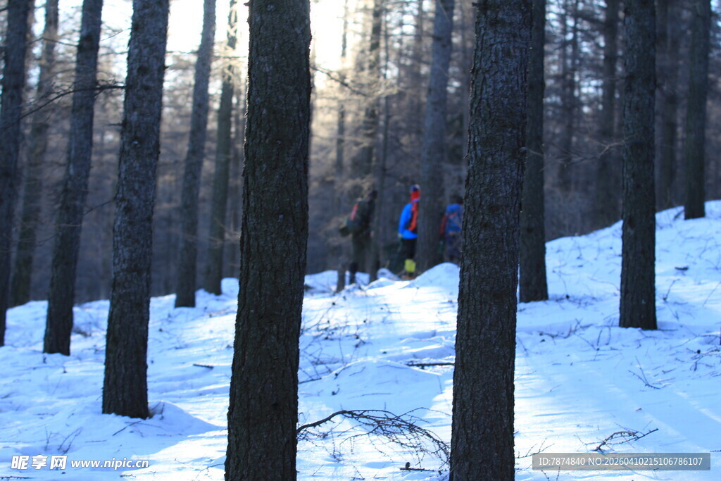 雪地林间的徒步者