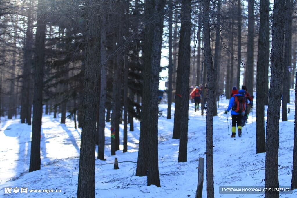 雪地林间徒步者