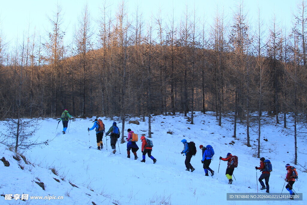 雪地徒步队伍穿行于林间