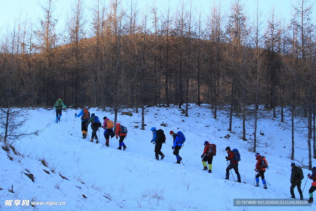 雪地徒步队伍穿行于林间