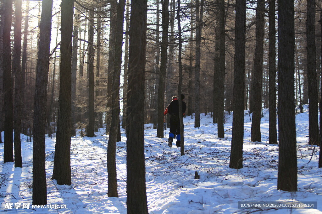 雪地林间独行的身影