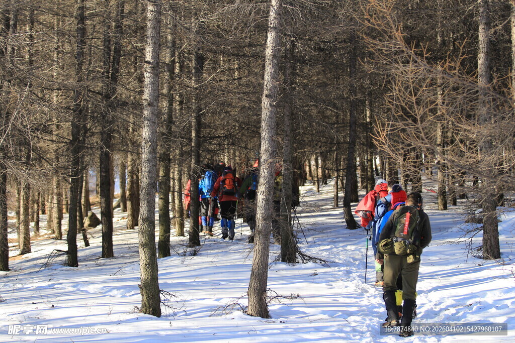 雪地林间徒步者