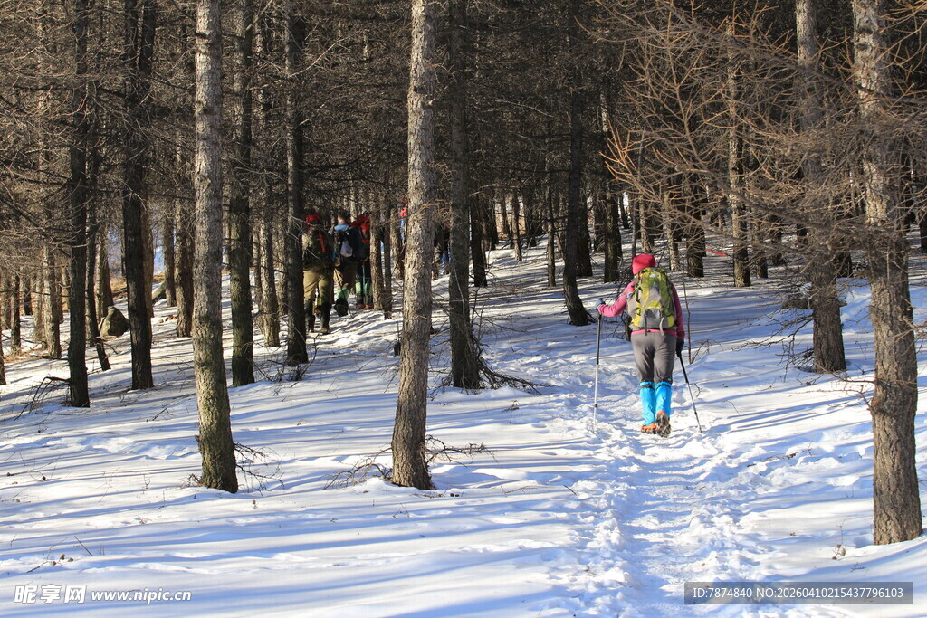 雪地林间的徒步者