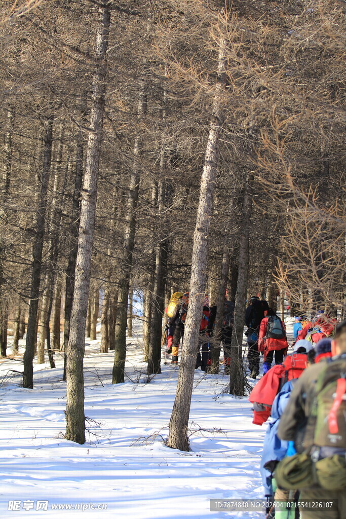 雪地林间的户外徒步队伍