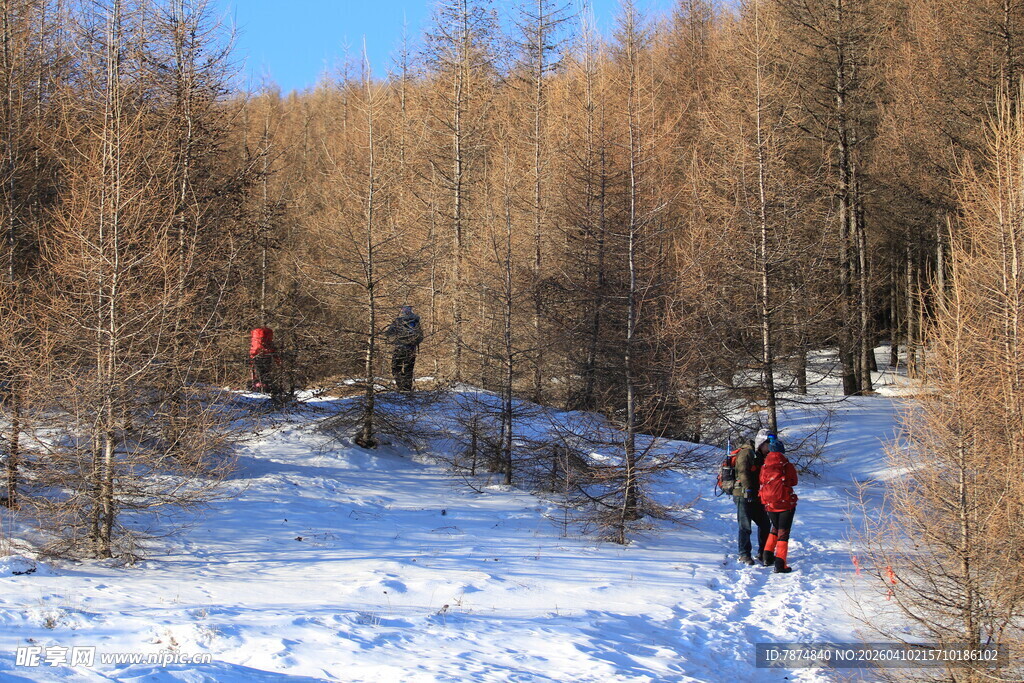 雪地林间徒步者