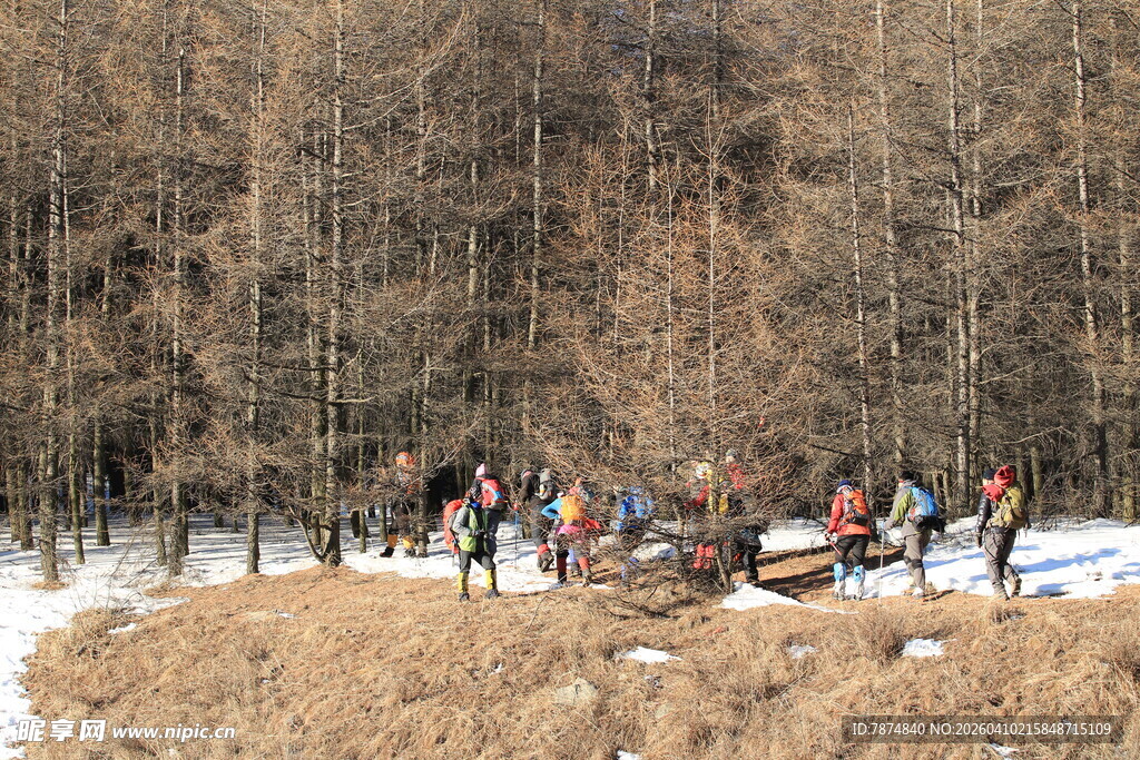 冬日雪地林间的人群活动