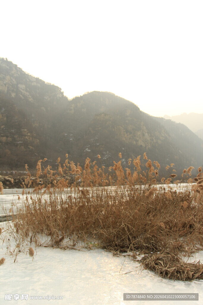 冬日河岸枯草雪景