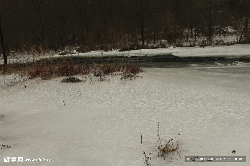 冬日雪景中的河岸风光