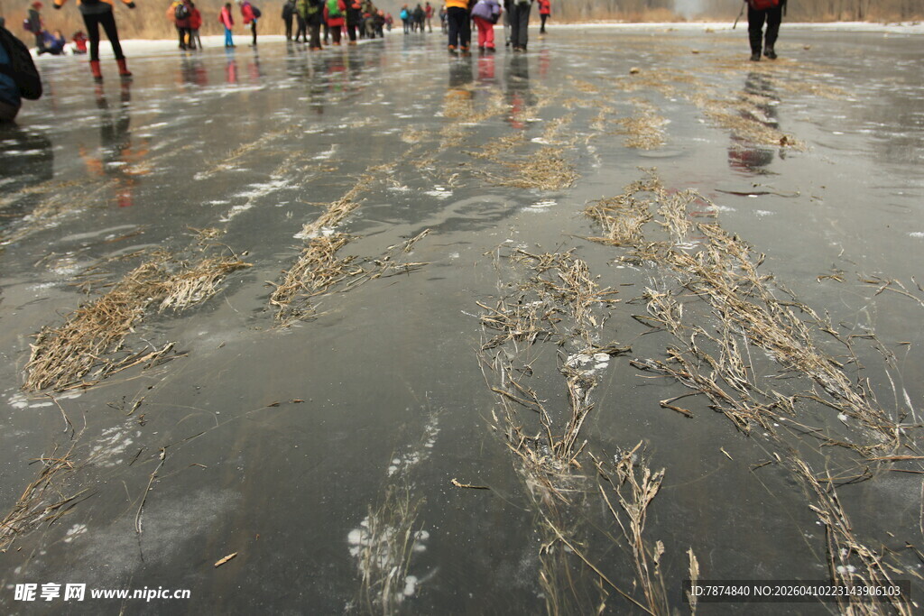 海滩上的海藻与人群