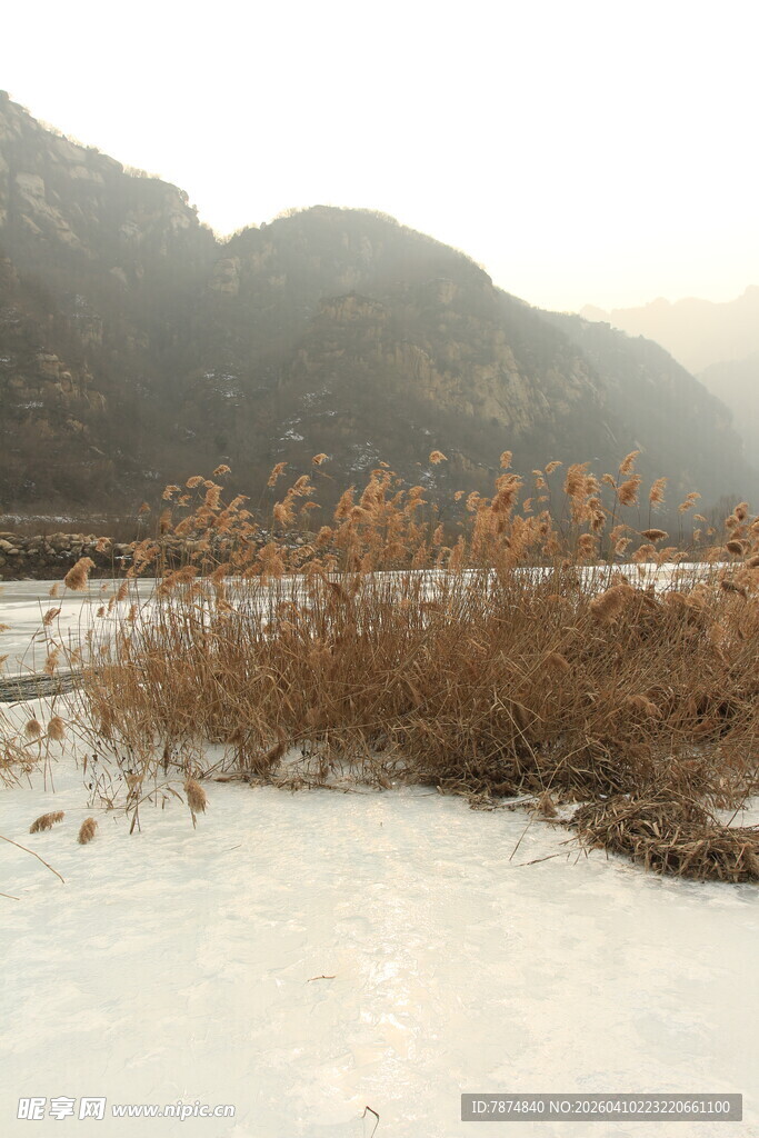 冬日河畔雪景与萧瑟草木