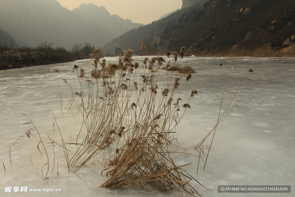 冰面残草景