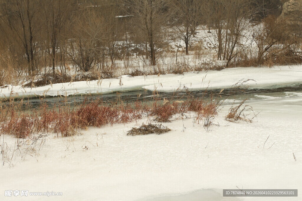 冬日雪覆河岸景致