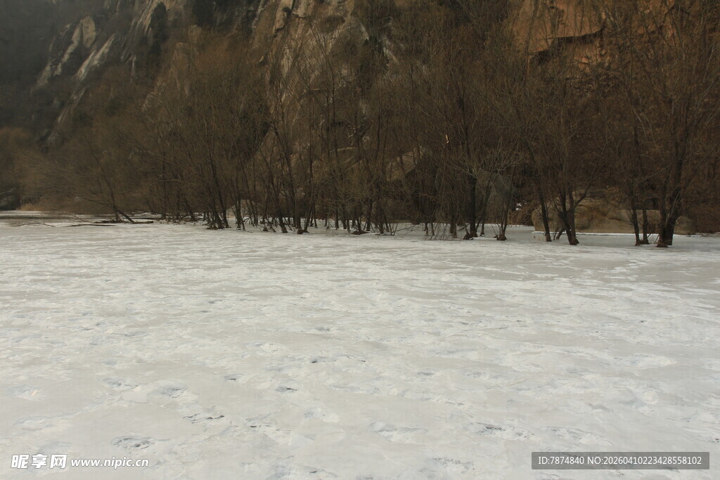 冬日雪覆盖的山林景象