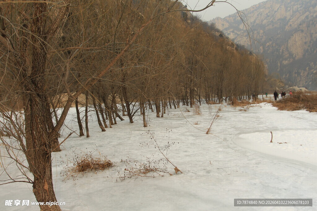 雪覆树林冬日静谧景致