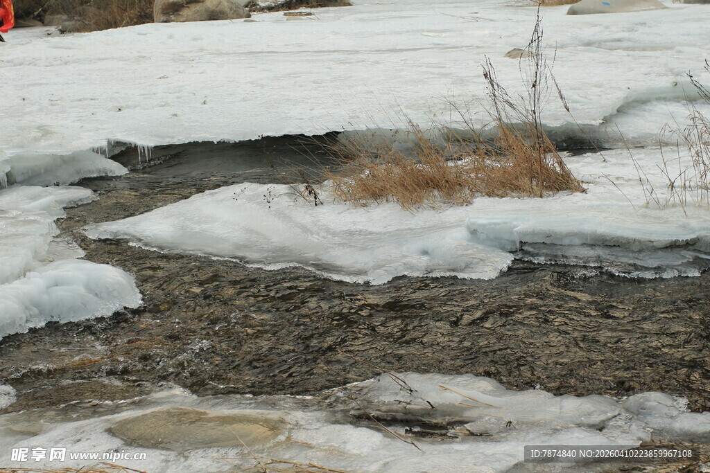 冰雪覆盖下的潺潺溪流