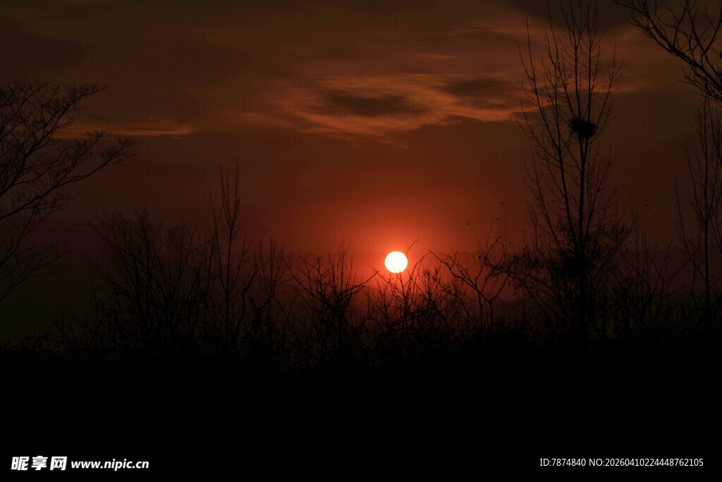 日落时分的静谧原野