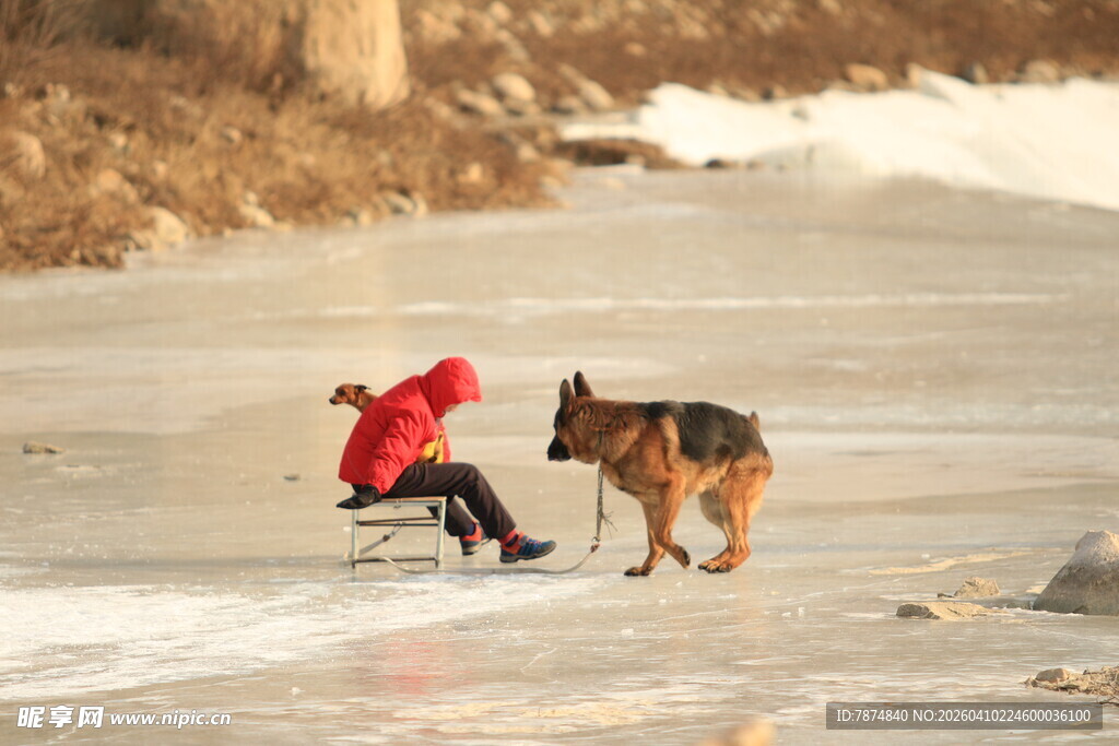 冰上孩童与狗的温馨瞬间
