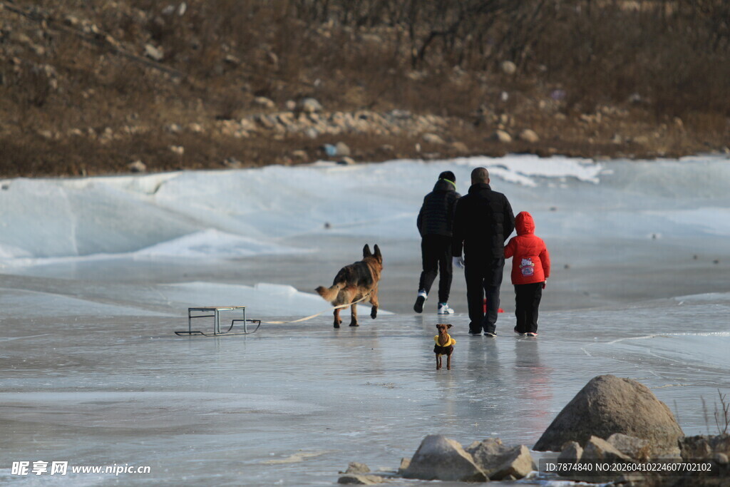 冬日冰面家人与狗漫步