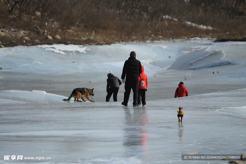 冰面漫步的人与狗