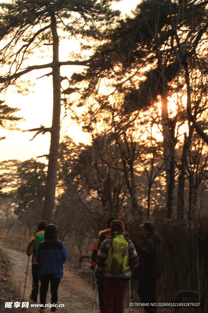 夕阳下的森林徒步队伍