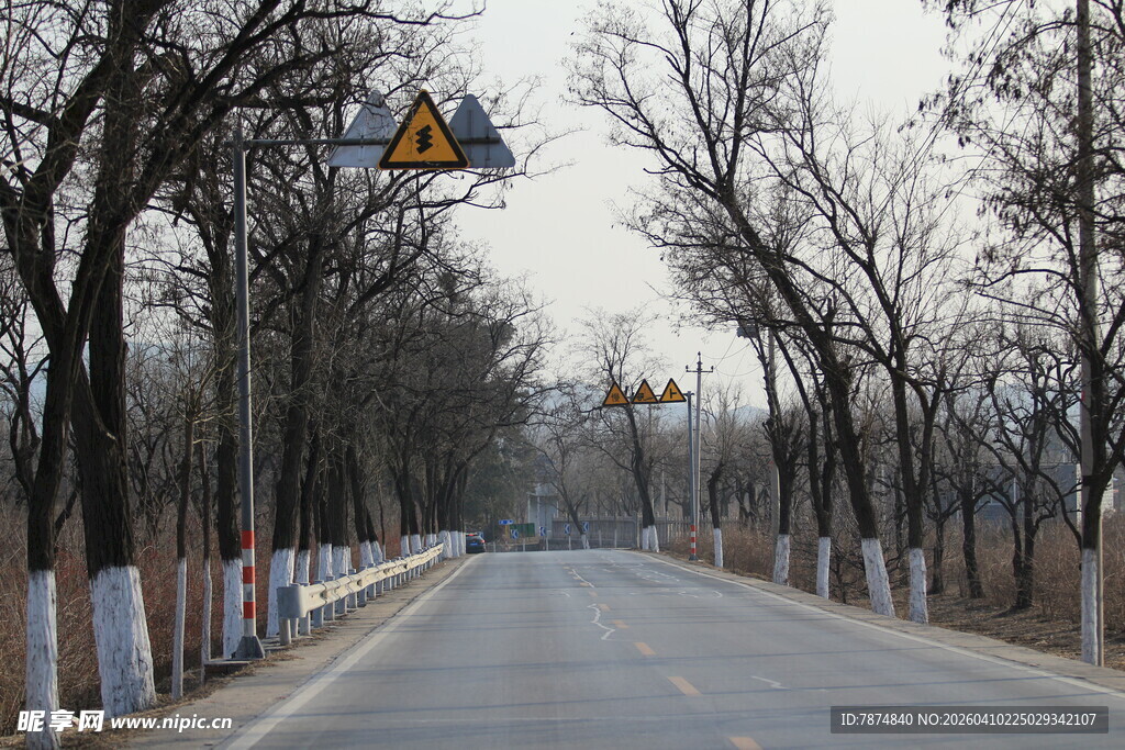 冬日空旷乡村道路景象