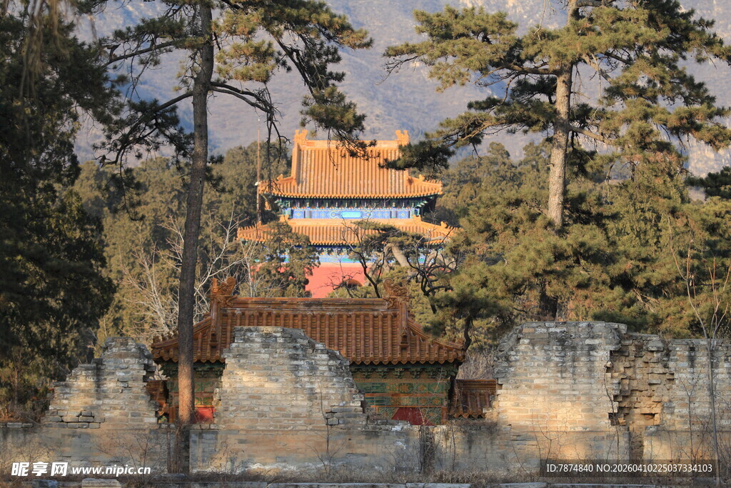 古建隐于松林间